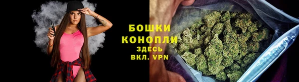 индика Богородицк