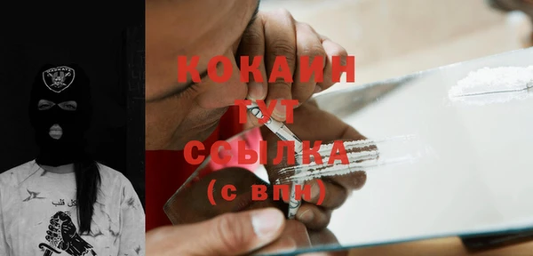 индика Богородицк