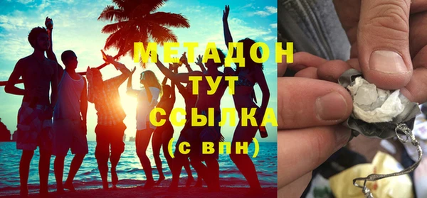 индика Богородицк