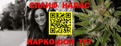 mdpv Усть-Джегута