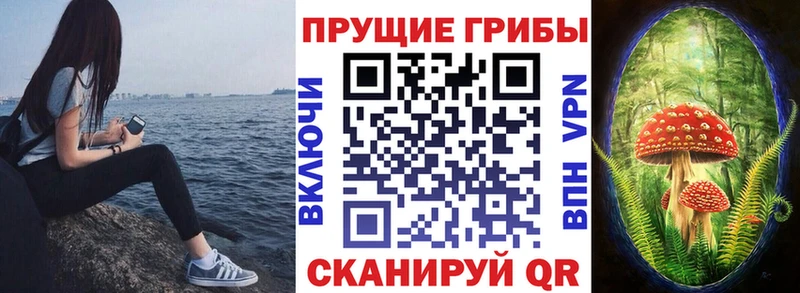 Галлюциногенные грибы Cubensis Сланцы