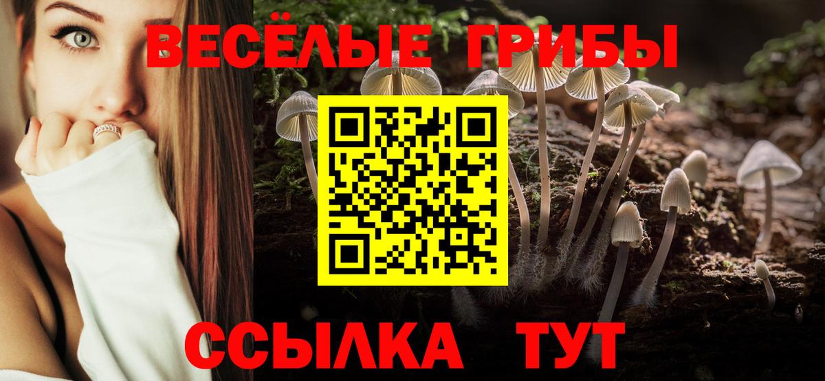 Сланцы  Галлюциногенные грибы Magic Shrooms  Псилоцибиновые грибы ЛСД  Вход с VPN 
