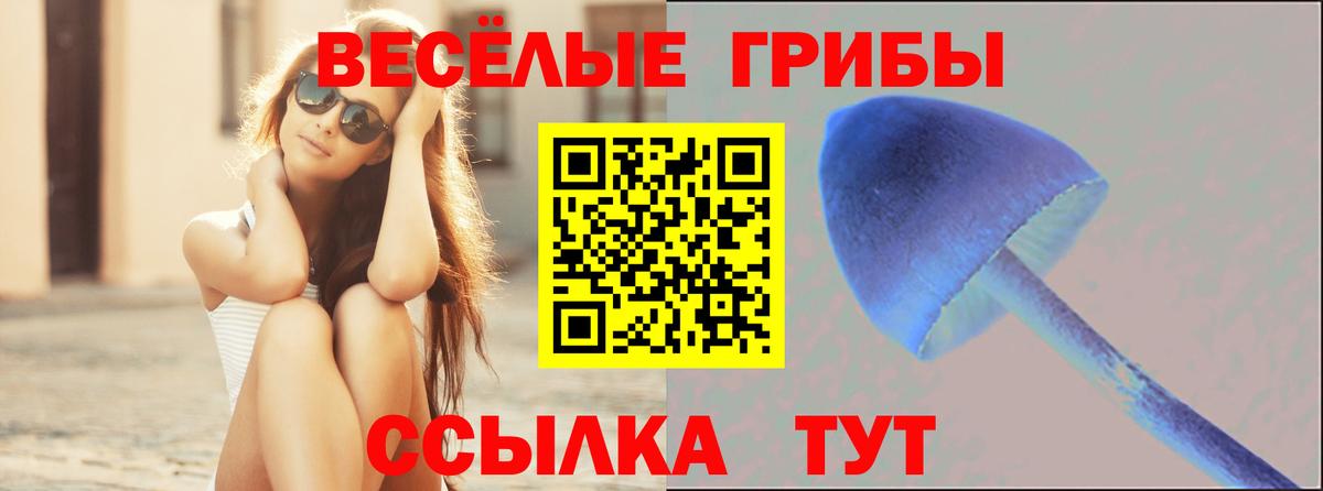 Псилоцибиновые грибы Psilocybine cubensis Сланцы
